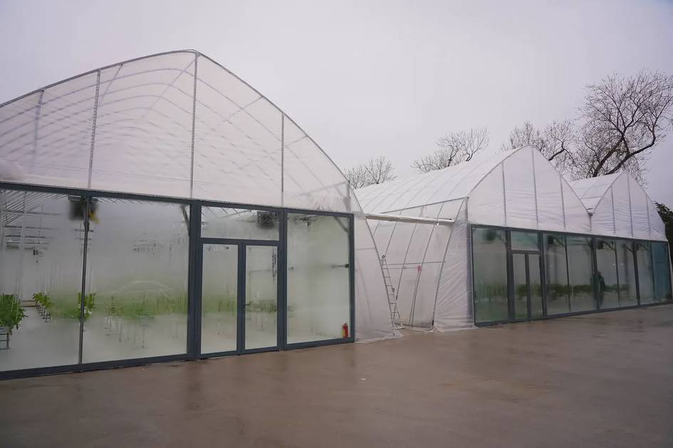 Без газа и угля: в Ташкенте тестируют энергоэффективные теплицы